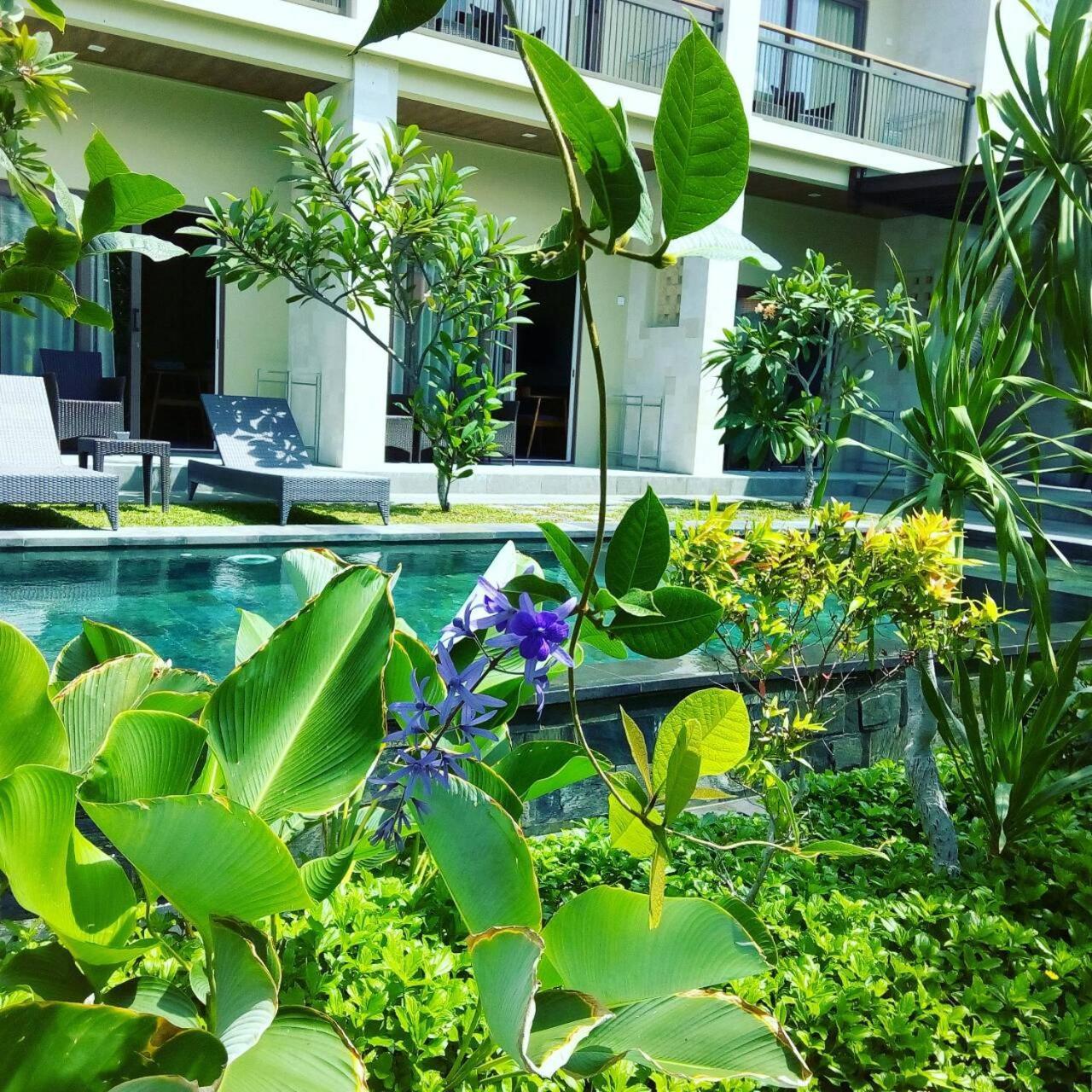 Arnaya Homestay Kuta Lombok Eksteriør bilde